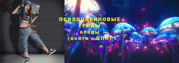 ешки Осинники