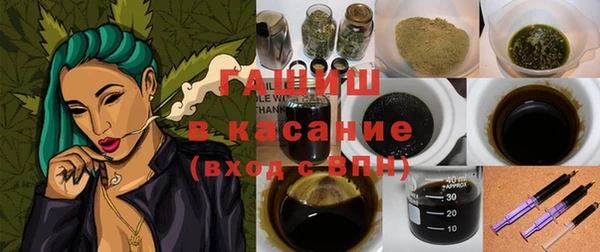 шишки Осташков