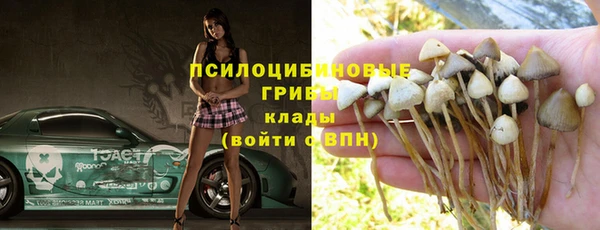винт Баксан